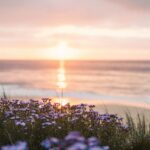 nature, beach, sunset-6723133.jpg